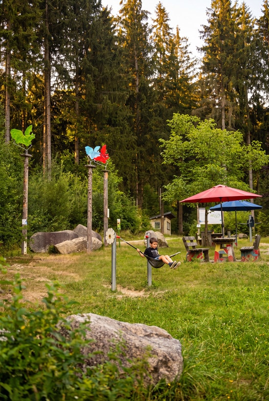 Fledermaus-Waldspielplatz in Rinchnach – Familienausflug im Bayerischen Wald