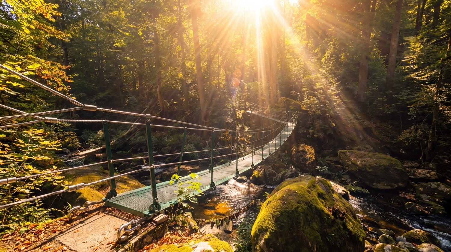 Die 7 schönsten Klammen und Wildwasserwege im Bayerischen Wald