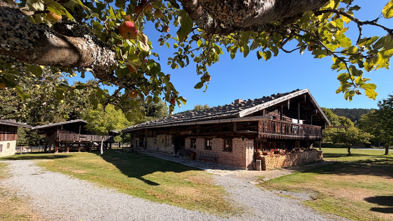Historischer Bauernhof im Freilichtmuseum Finsterau unter einem alten Apfelbaum
