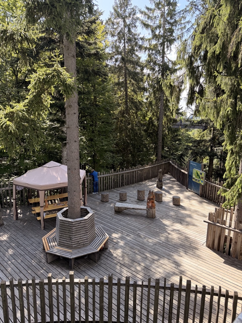 Kinder-Mitmachaktion am Baumwipfelpfad Bayerischer Wald