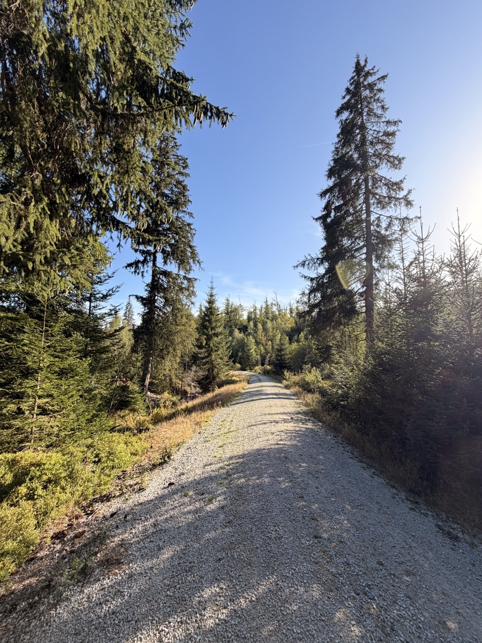 Schotterweg der Finsterautour durch den Nationalpark Bayerischer Wald