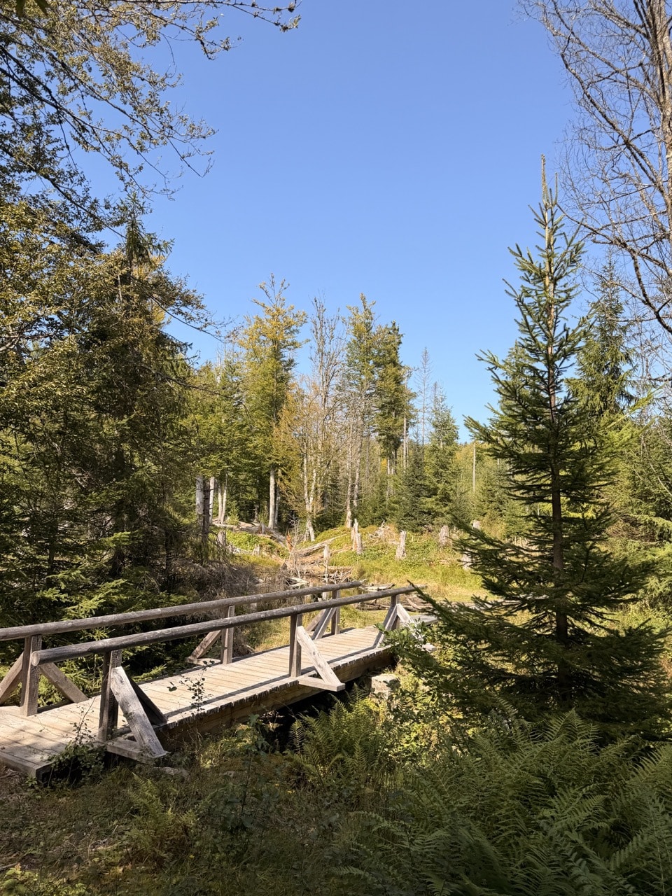 Steinbachklause im Nationalpark Bayerischer Wald