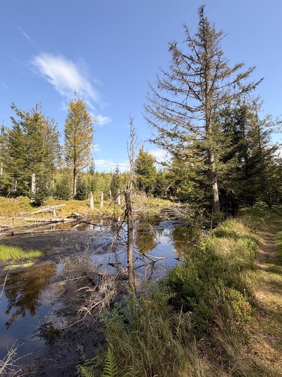 Blick über die historische Steinbachklause bei Mauth