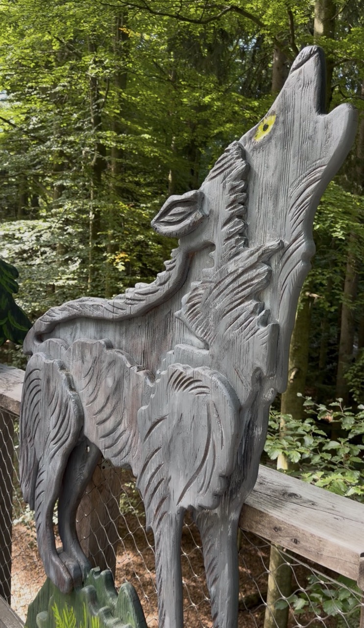 Kletter- und Balancierparcours am Baumwipfelpfad Neuschönau