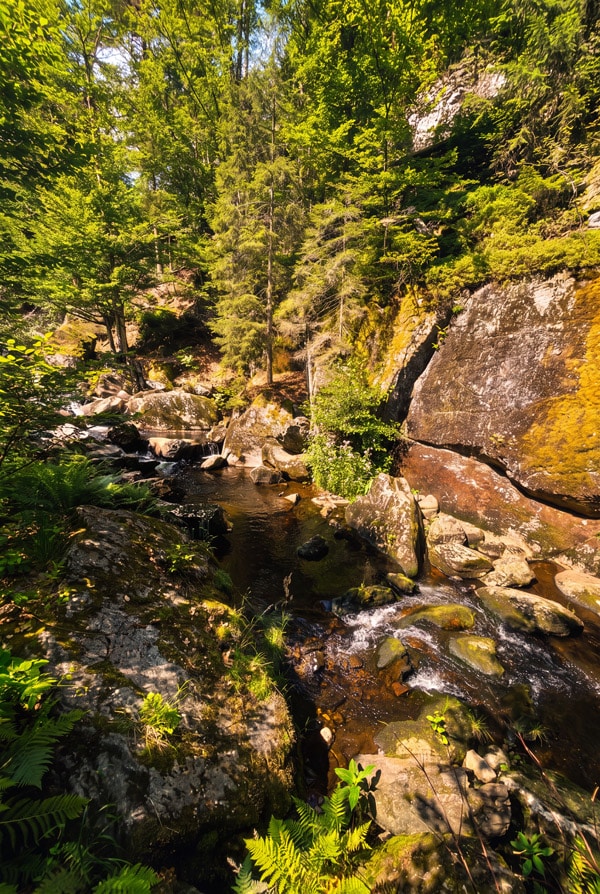 Wanderweg durch die Steinklamm in Spiegelau